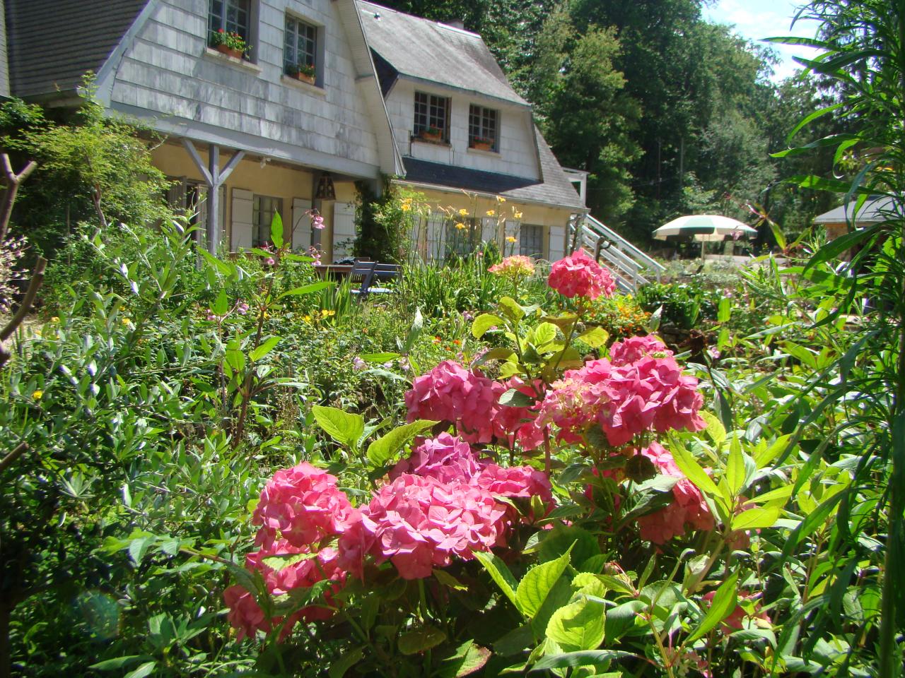 au bord des amans du jardin de saint jean