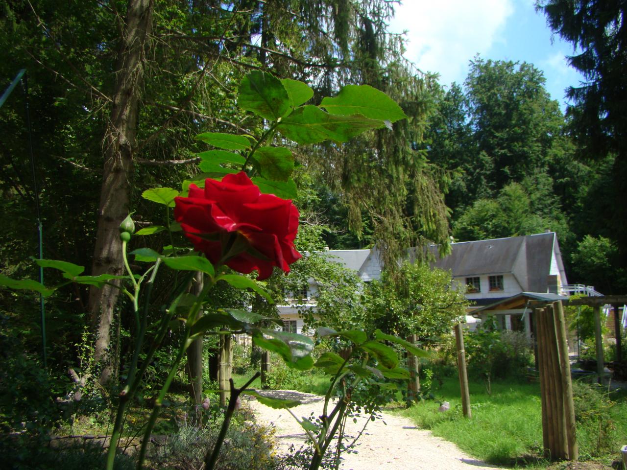 B&B le jardin de saint jean depuis le parking