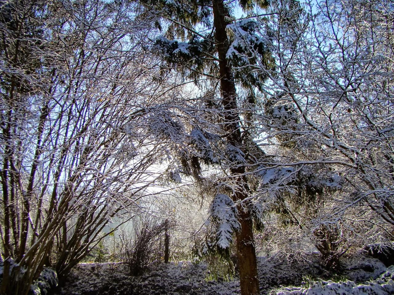 Hiver à Saint Jean Aux Bois