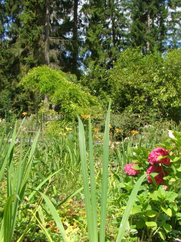 El jardín