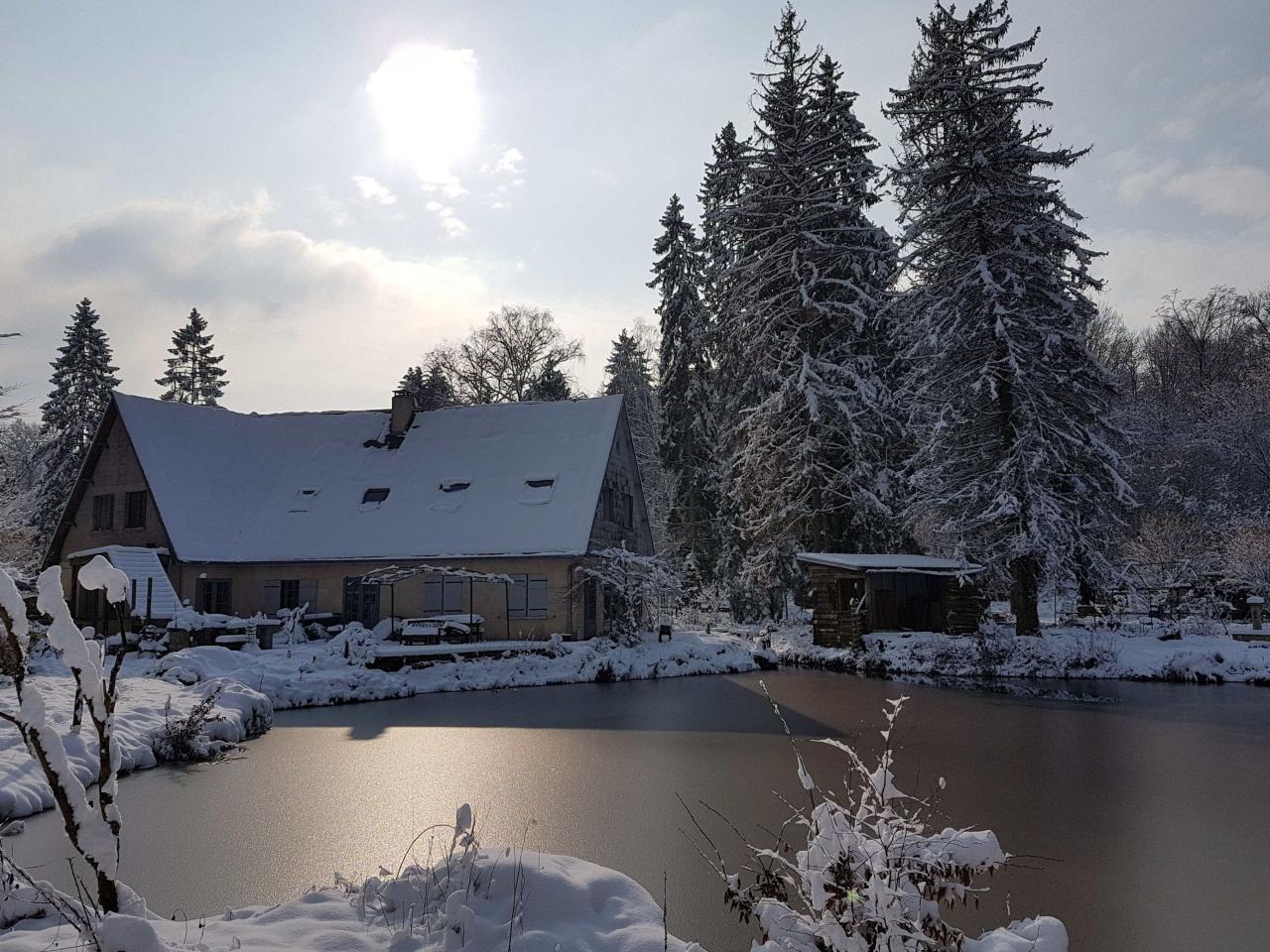 Etang du jardin de saint jean gelé