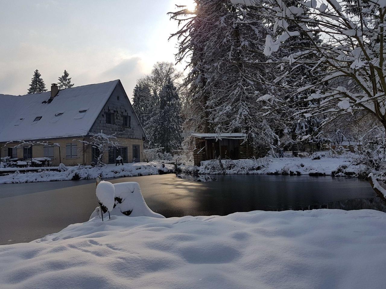 Etang gelé hiver 2018