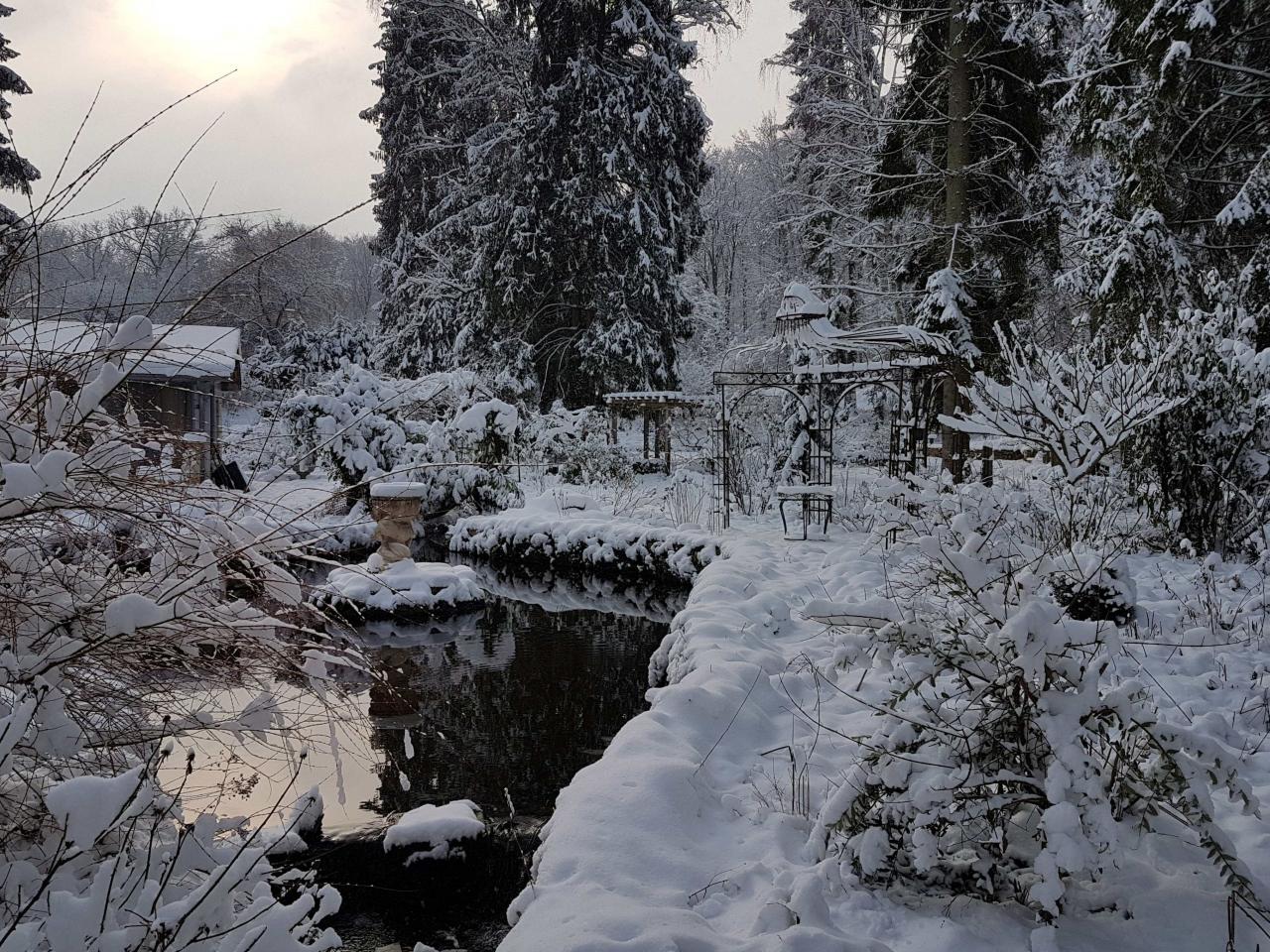 fontaine en hiver