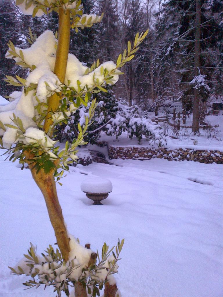 Hiver à Saint Jean Aux Bois