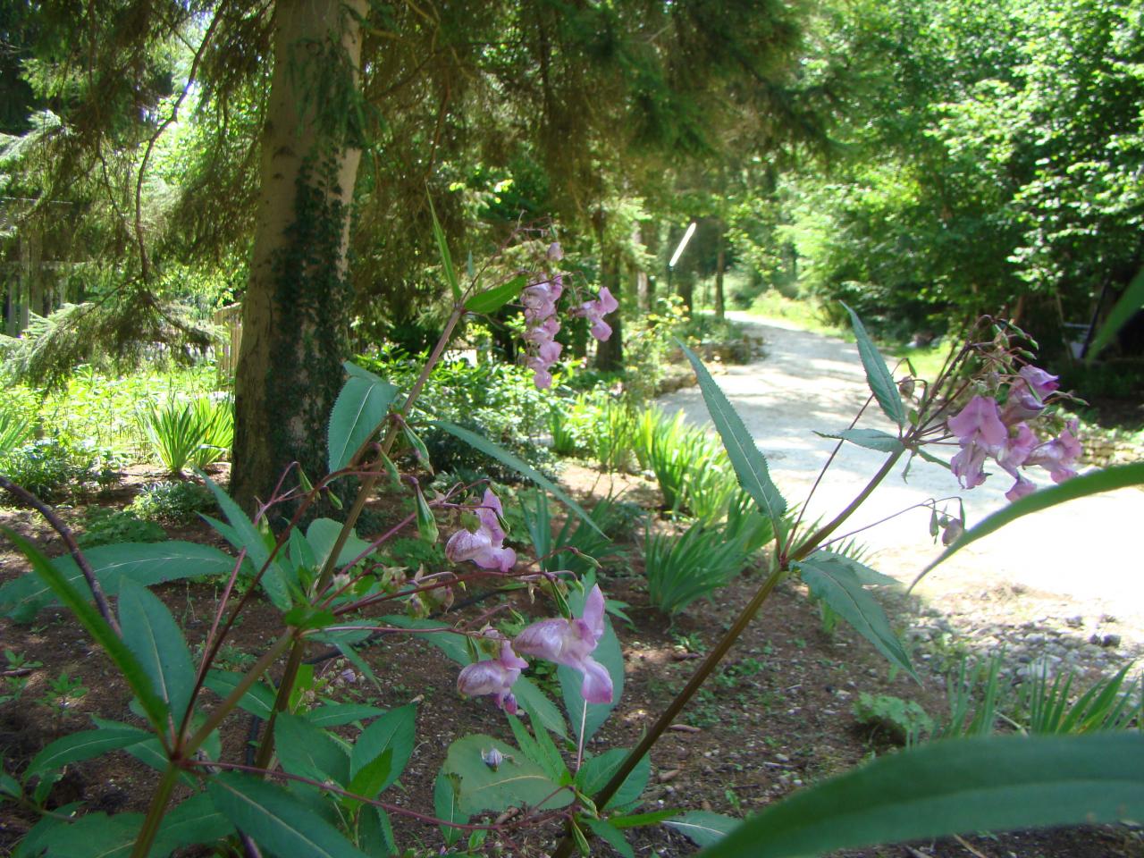 sortie du jardin de saint jean