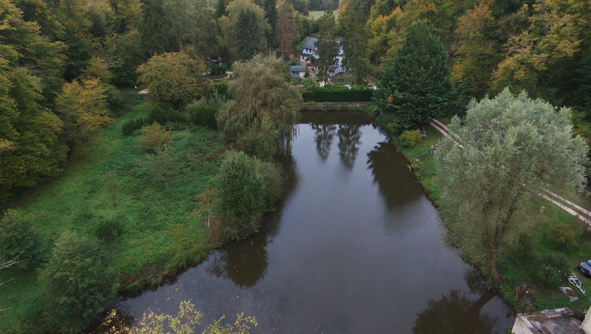 Nid dans la verdure