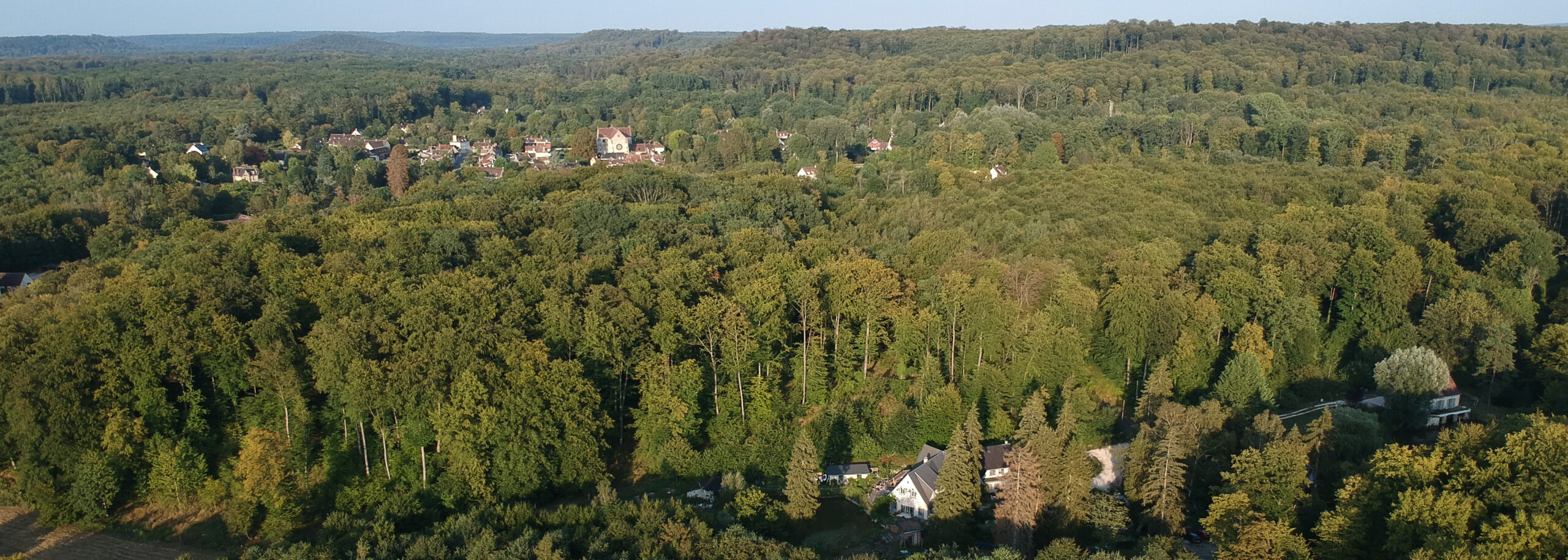 Au coeur de la forêt de Compiegne